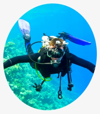 Prevnext1 2 3 - Template Plongée Wordpress #8723301