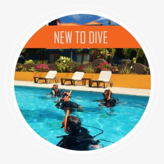 Scuba Diving - Swimming Pool #8723461