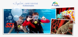 Special Of The Month - Buoyancy Compensator #8723724