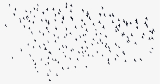 Big Image - Birds Silhouette Png #8726727 Big Image - Birds Silhouette Png #8726727