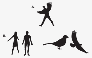 An Example Of A Visual Hybrid (half Human Half Bird - Half Human Half Bird #8727072