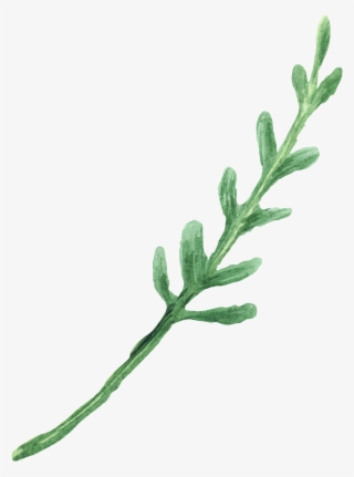 Water Green Foliage Transparent Decorative #8727199