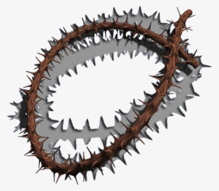 A - Cartilaginous Fish #8727238