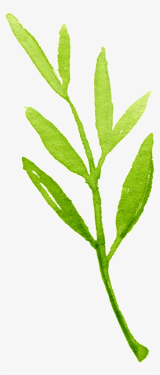 Crystal Foliage Cartoon Transparent - Twig #8727249