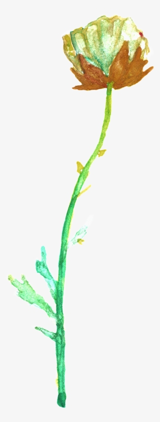 Transparente Png Ornamental Para Verde Y Verde Ramas - Buttercup #8727365