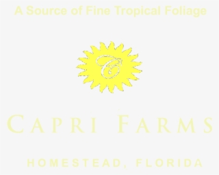 Cropped Header Final 2 Margins Fotoflexer Photo E1382986851686 - Circle #8727692