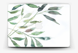 Ramas De Olivo - Display Device #8727790