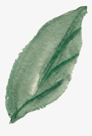 Png De Cristal Transparente De Ramas Y Hojas Ornamentales - Perennial Plant #8728157