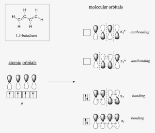 The Lowest Energy Molecular Orbital, Pi1, Has Only - 1 3 Butadiene Molecular Orbitals #8728303