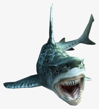 Fishes Png #8729213