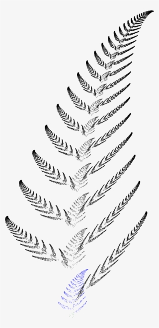 Barnsley Fern Funktion1 - Sketch #8729470