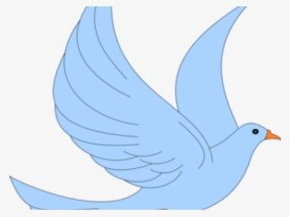 Twitter Clipart Transparent Background - Pigeons And Doves #8730323