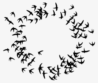 Birds Flying In A Circle - Particle Swarm Optimization Icon #8731427