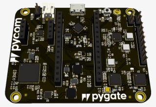 Pygate - Electronic Component #8732573
