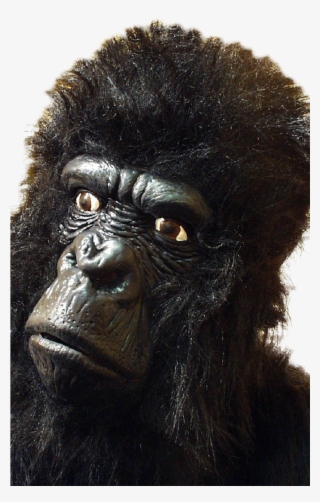 Large Gorilla - Gorilla Mask #8733718