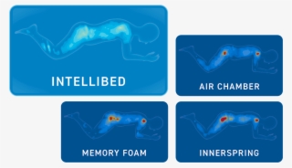 Pressure Mapping Results That Don't Take An Expert - Graphic Design #8733890