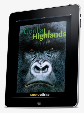 Pin By Gorilla Highlands On Gorilla Highlands - Gorille Des Montagnes En Voie De Disparition #8734010