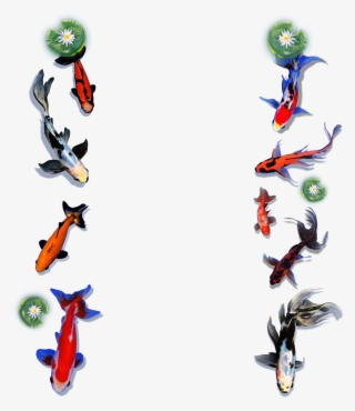 Koi To The World Offers A Wide Variety Of Goldfish - Animal Figure #8734815