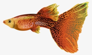Guppy Png Free Clip Art Image - Guppy Png #8735250 Guppy Png Free Clip Art Image - Guppy Png #8735250