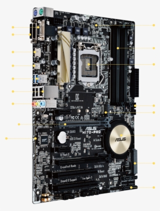 Vector Free H Pro Motherboards Asus Usa #8736154