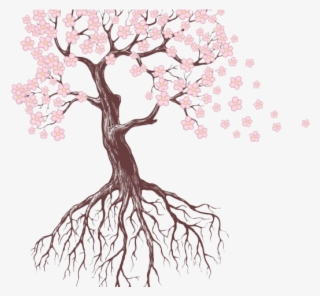 Drawn Roots Sakura Tree - Flowers And Trees Drawings #8736302