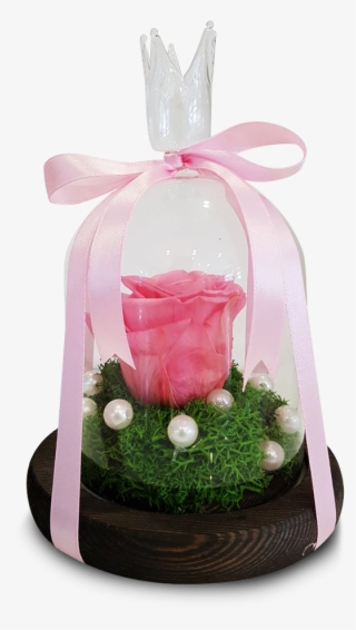 Lily Of The Valley #8736988