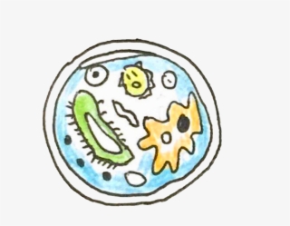 Collaboration - Circle #8737163