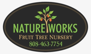 Southern Fried Cotton #8737328