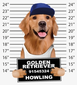 Golden Retriever Mugshot - Dog Mugshots #8738210