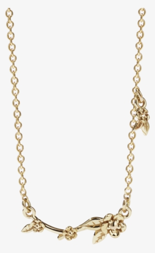 Alba Vine Necklace - Meadowlark Alba Vine Necklace #8738684
