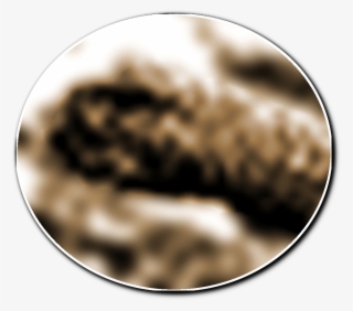 Loch Ness Type Monster On Mars - Circle #8738687