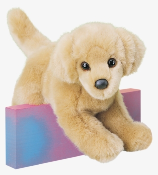 Golden Retriever Douglas Bella #8738898