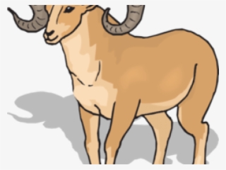 Ram Clipart #8740703