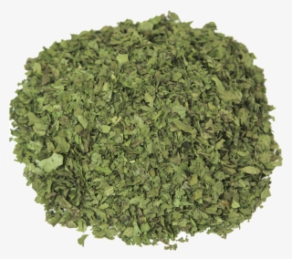 Parsley Family #8741360