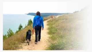 Sadie On A Walk - Vacation #8741549