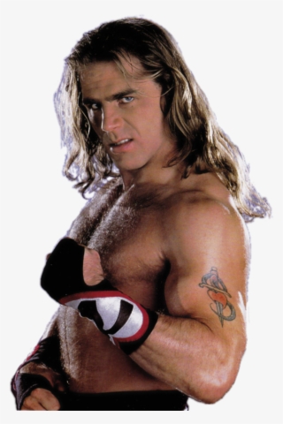 Shawn Michaels - Шон Майклз Штаны #8741855
