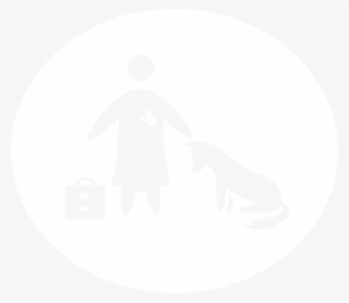 Pet Cpr & First Aid Trained Certified - Special Olympics Boccia Sheffield #8741946