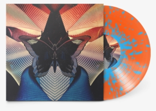 Butterfly Ep - Thornhill Butterfly #8742252