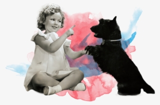 Show Support For Animals - Black Cat #8742276