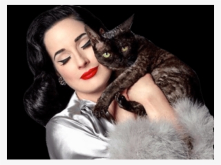 The Latest Celebrity, Free Transparent Png Images - Dita Von Teese Aleister Von Teese #8746871