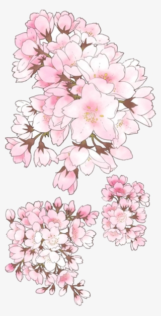 Drawn Cherry Blossom Hand - Mountain Laurel #8746915