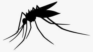 Mosquito Transparent Png - Clipart Transparent Background Mosquitoes #8749884