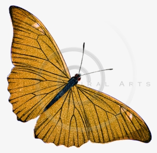 Silver Spiral Arts #8751248