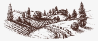 In 2006, The Roma Family Decided To Look For A Type - Etched Landscape #8752064