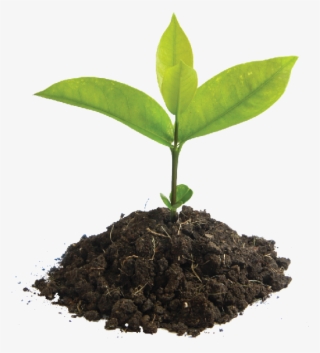 Find Out More - Iniciacion A La Actividad Emprendedora Y Empresarial #8752312