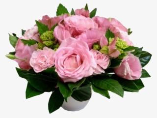Garden Roses #8752426