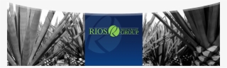 Rios Restaurant Group - Banner #8752918