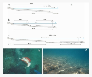A) Submarine Transects From Agia Marina (br-7), (b) - Marine Biology #8754007
