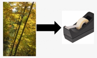 Follow Chembites - Tree #8754319