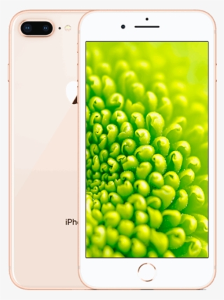 Iphone® 8 Plus 256gb - Precalculus: A Right Triangle Approach #8754981